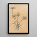 Marguerites bianche - Willem Wenckebach — quadro incorniciato alla parete