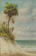 Paesaggio marino della Florida con duna di sabbia e palma - William Aiken Walker — vista dell’opera