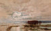 L'inondazione nel Darling, 1890 - William Charles Piguenit — vista dell’opera