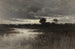 Dans les marais - William Crothers Fitler — vista dell’opera