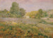 Campo di erbe multicolori in fine estate - William Henry Holmes — vista dell’opera