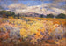Longs Peak, Colorado - William Henry Holmes — vista dell’opera
