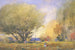 Scène d'été - William Henry Holmes — vista dell’opera