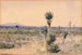 Yuccaland Chihuahua, Messico - William Henry Holmes — vista dell’opera