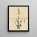 Ophrys giallo - William Jackson Hooker — quadro incorniciato alla parete