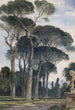 Pins parasols dans la Villa Borghèse Rome - William James Müller — vista dell’opera