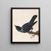 Choucas - William Lewin — quadro incorniciato alla parete