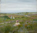 Paesaggio a Shinnecock, Long Island - William Merritt Chase — vista dell’opera