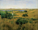 Estate a Shinnecock Hills - William Merritt Chase — vista dell’opera