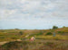 Sans titre, Shinnecock Hills, Long Island - William Merritt Chase — vista dell’opera