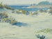 Nuances d'opale di Carmel - William Posey Silva — vista dell’opera