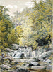 Catskill Clove - William Rickarby Miller — vista dell’opera