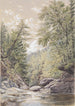 Catskill Clove à Palingsville - William Rickarby Miller — vista dell’opera