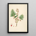 Plantes de la côte de Coromandel Pl031 - William Roxburgh — quadro incorniciato alla parete