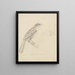 Un uccello - William Swainson — quadro incorniciato alla parete