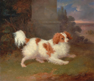 Un épagneul de Blenheim - William Webb — vista dell’opera
