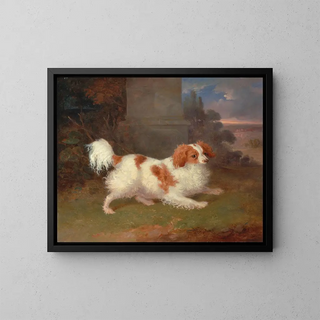 Un épagneul de Blenheim - William Webb — quadro incorniciato alla parete