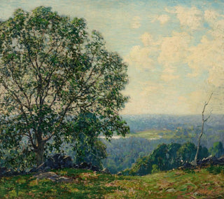 Alberi su una collina che domina una valle - Wilson Henry Irvine — vista dell’opera
