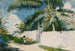 Un jardin à Nassau - Winslow Homer — vista dell’opera