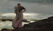 Una luce sul mare - Winslow Homer — vista dell’opera