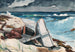 Dopo l'uragano Bahamas - Winslow Homer — vista dell’opera