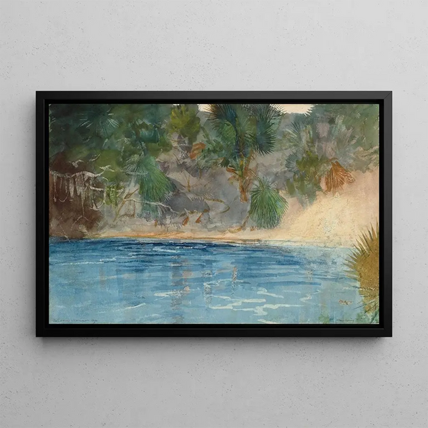 Source blu Florida - Winslow Homer — quadro incorniciato alla parete