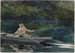 Lancio numero due - Winslow Homer — vista dell’opera