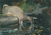 Cervo che beve - Winslow Homer — vista dell’opera