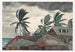 Ouragan aux Bahamas - Winslow Homer — vista dell’opera