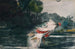 Bar nero grandezza naturale - Winslow Homer — vista dell’opera