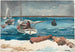 Nassau - Winslow Homer — vista dell’opera