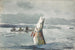 Brochet, lago Saint-Jean, pesca all'ounananiche - Winslow Homer — vista dell’opera
