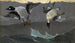 Destro e Sinistro - Winslow Homer — vista dell’opera