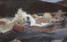 Descente des rapides, rivière Saguenay - Winslow Homer — vista dell’opera