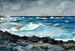 Rivage e surf a Nassau - Winslow Homer — vista dell’opera