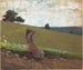 La collina verde - Winslow Homer — vista dell’opera