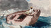 Le Gulf Stream - Winslow Homer — vista dell’opera