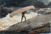Le Portage - Winslow Homer — vista dell’opera
