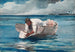 L'éventail d'acqua - Winslow Homer — vista dell’opera