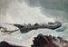 La Goélette naufragée - Winslow Homer — vista dell’opera