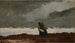Due figure vicino al mare - Winslow Homer — vista dell’opera