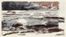 Ruisseau forestier - Winslow Homer — vista dell’opera