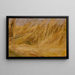 Studio di campo di mais - Włodzimierz Tetmajer — quadro incorniciato alla parete