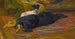 I Due Amici - Wright Barker — vista dell’opera