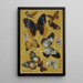 Papillons - Wu Shujun — quadro incorniciato alla parete