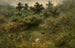 Sul bordo del ruscello - Xavier de Cock — vista dell’opera