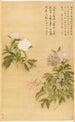 Pivoines - Yun Shouping — quadro incorniciato alla parete