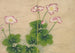 Fleurs de mauve - Zhang Ruo'ai — vista dell’opera