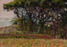 Paesaggio della Bretagna - Zygmunt Andrychewicz — vista dell’opera
