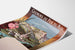 Manifesto vintage Lourdes, ferrovie del Midi, mostrato su una pagina curva, vista prospettica.